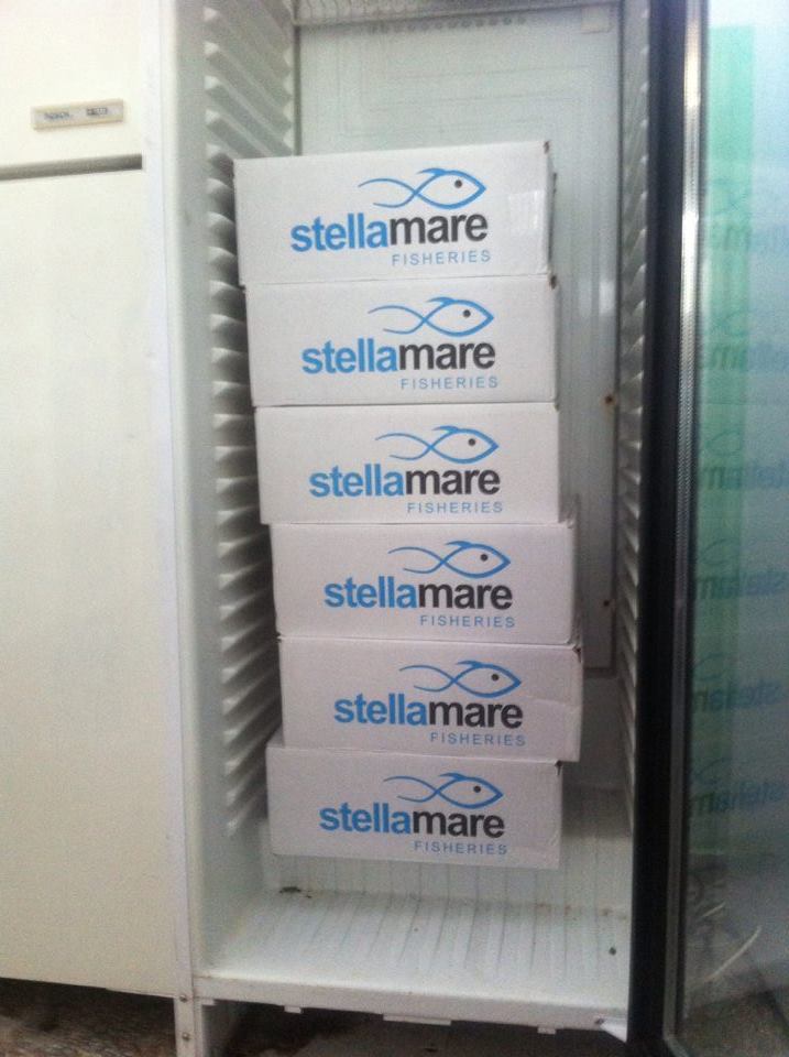 stellamare2