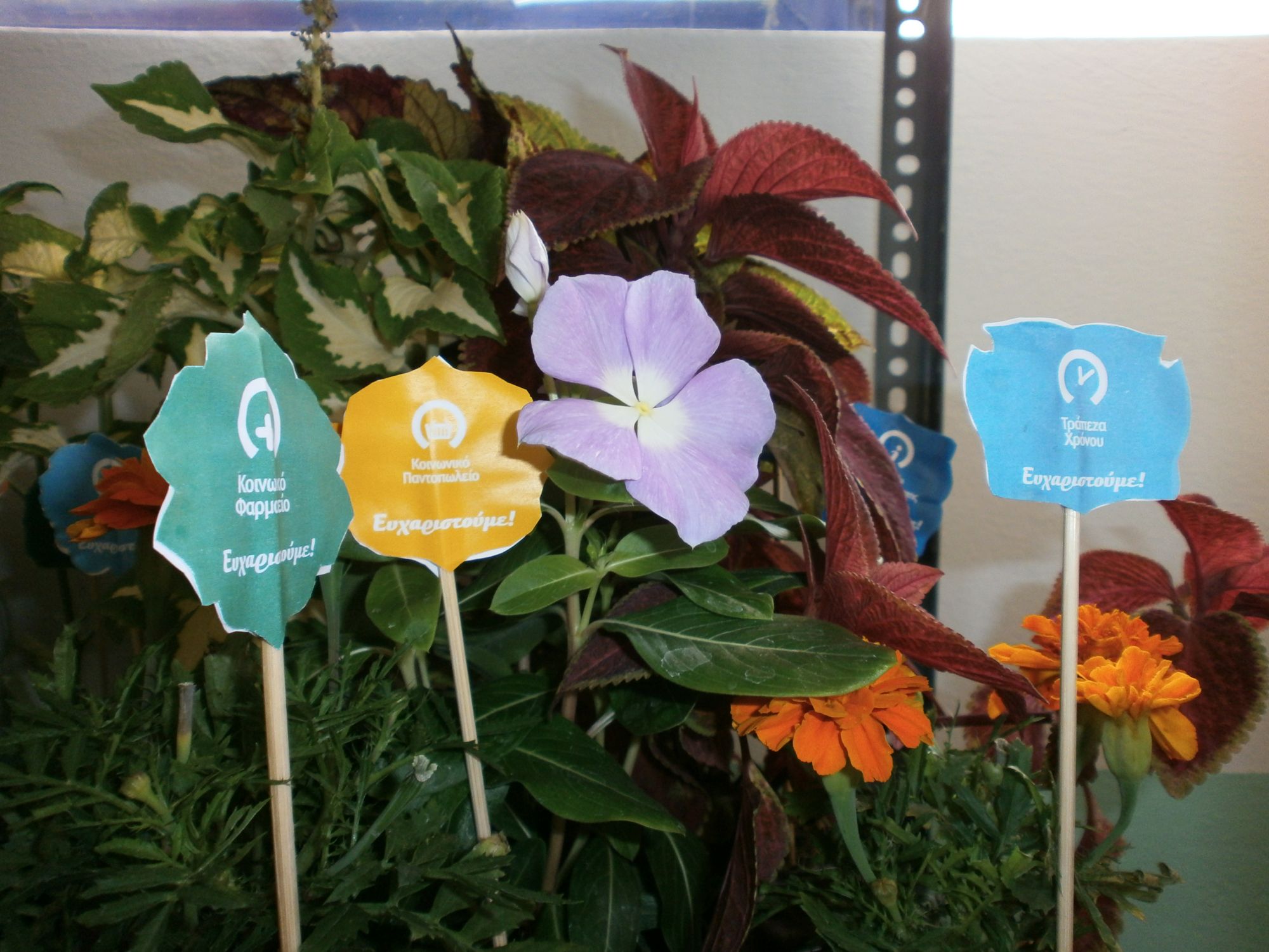 Τα δωράκια μας για τους εθελοντές